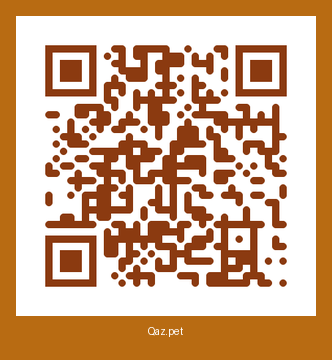 QR-код карточки Кольт