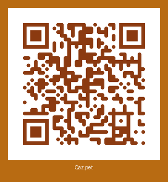 QR-код карточки Босс