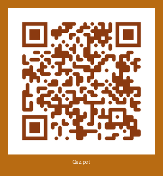 QR-код карточки Чапа