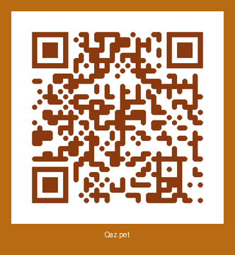 QR-код карточки Стаффи