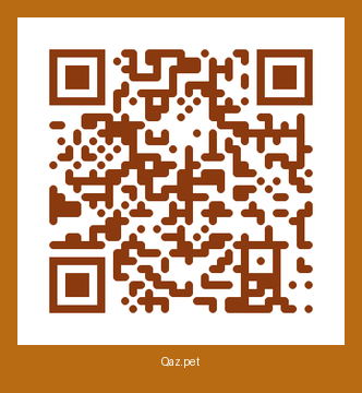 QR-код карточки Каспер