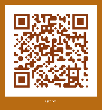 QR-код карточки Алтын