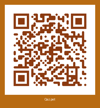 QR-код карточки Бурана