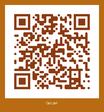 QR-код карточки Шарик