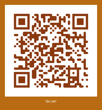 QR-код карточки Гром
