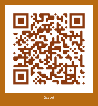 QR-код карточки Зара