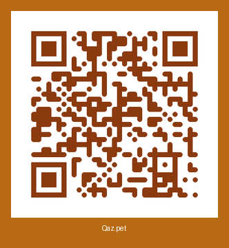 QR-код карточки Рекс (Шымкент)