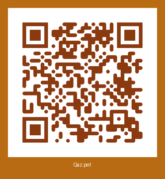 QR-код карточки Барон