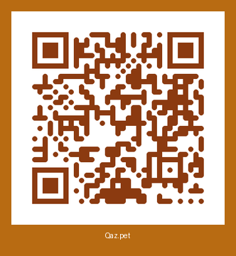 QR-код карточки Снежка