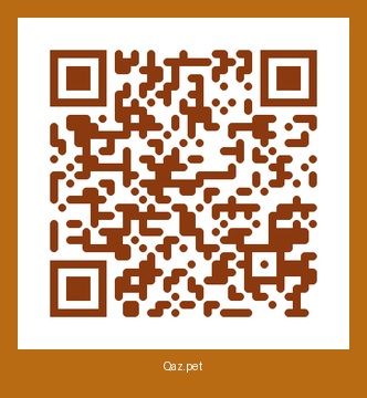 QR-код карточки Пират