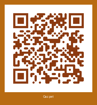 QR-код карточки Лаки