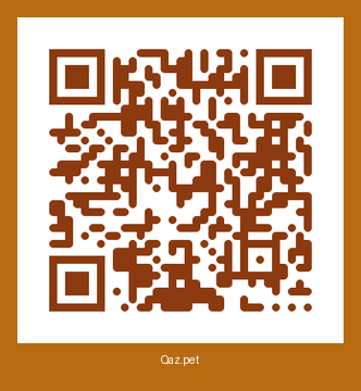 QR-код карточки Буран (УК)