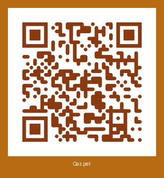 QR-код карточки Феликс