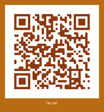 QR-код карточки Барсик